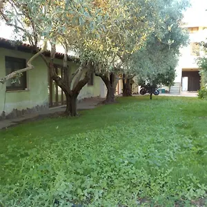 Casa vacanze 'suite' Gli Ulivi Dei Nonni Iun P3279, Ollastra